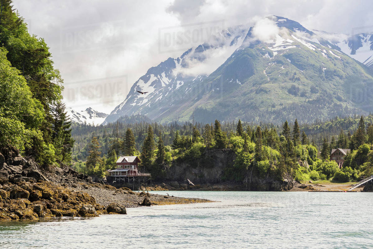 Waterfront buildings by snow capped mountains, Halibut Cove, Kachemak
