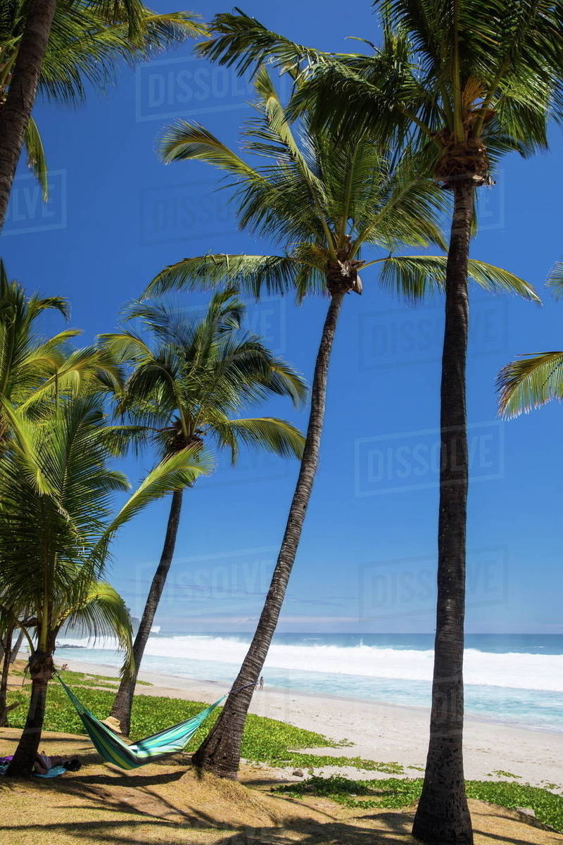 Male Tourist Reclining On Beach Hammock By Indian Ocean Reunion Male Tourist Reclining On Beach Hammock By Indian Ocean Reunion Island