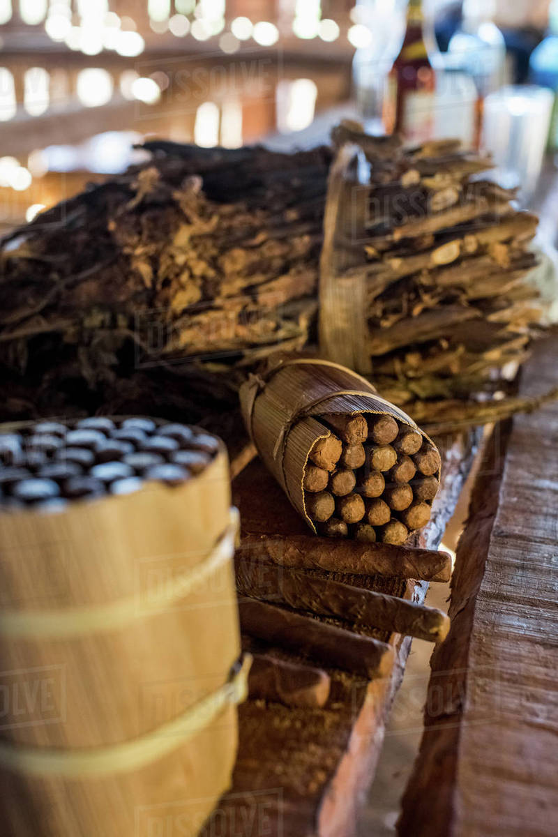 cuban tobacco leaves Packages of hand made cuban cigars with tobacco leaves on workbench,  Vinales, Cuba - Royalty-free Stock Photo