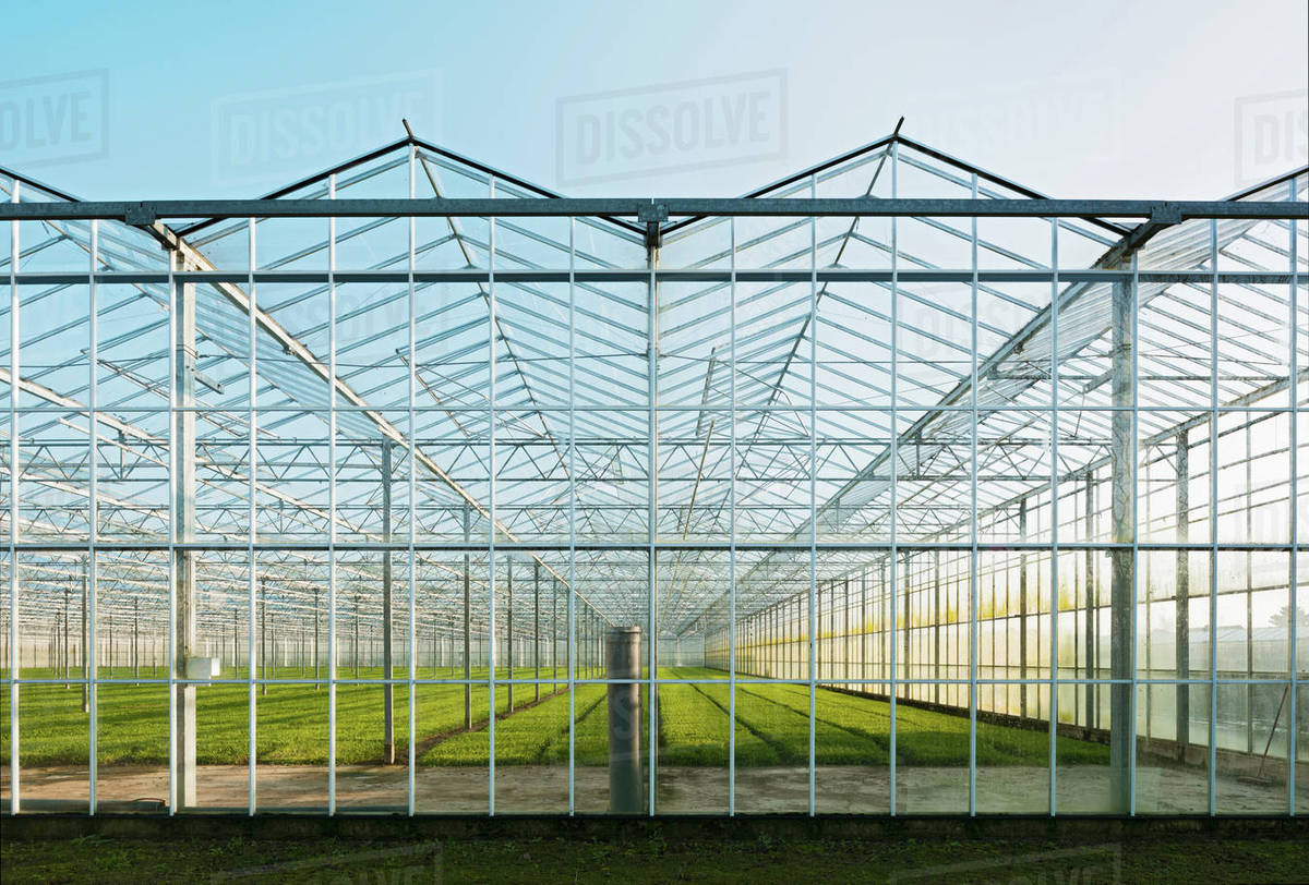 Greenhouse in Westland, area with the highest concentration of