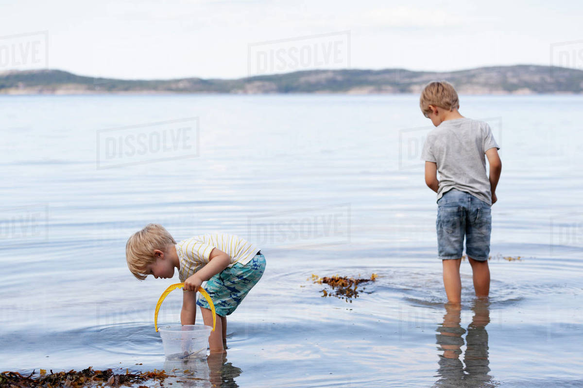 Brothers picking up seashells on beach - Royalty-free Stock Photo ...