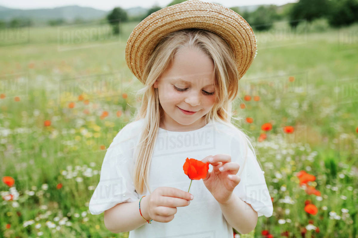 Portrait of young girl holding a poppy, standing in a meadow of wild ...
