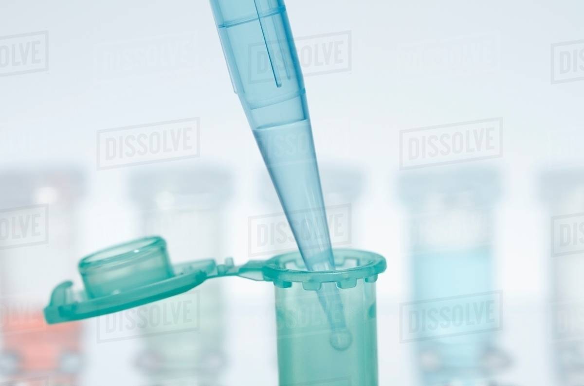 Still life of micropipette pipetting liquid into microcentrifuge tube