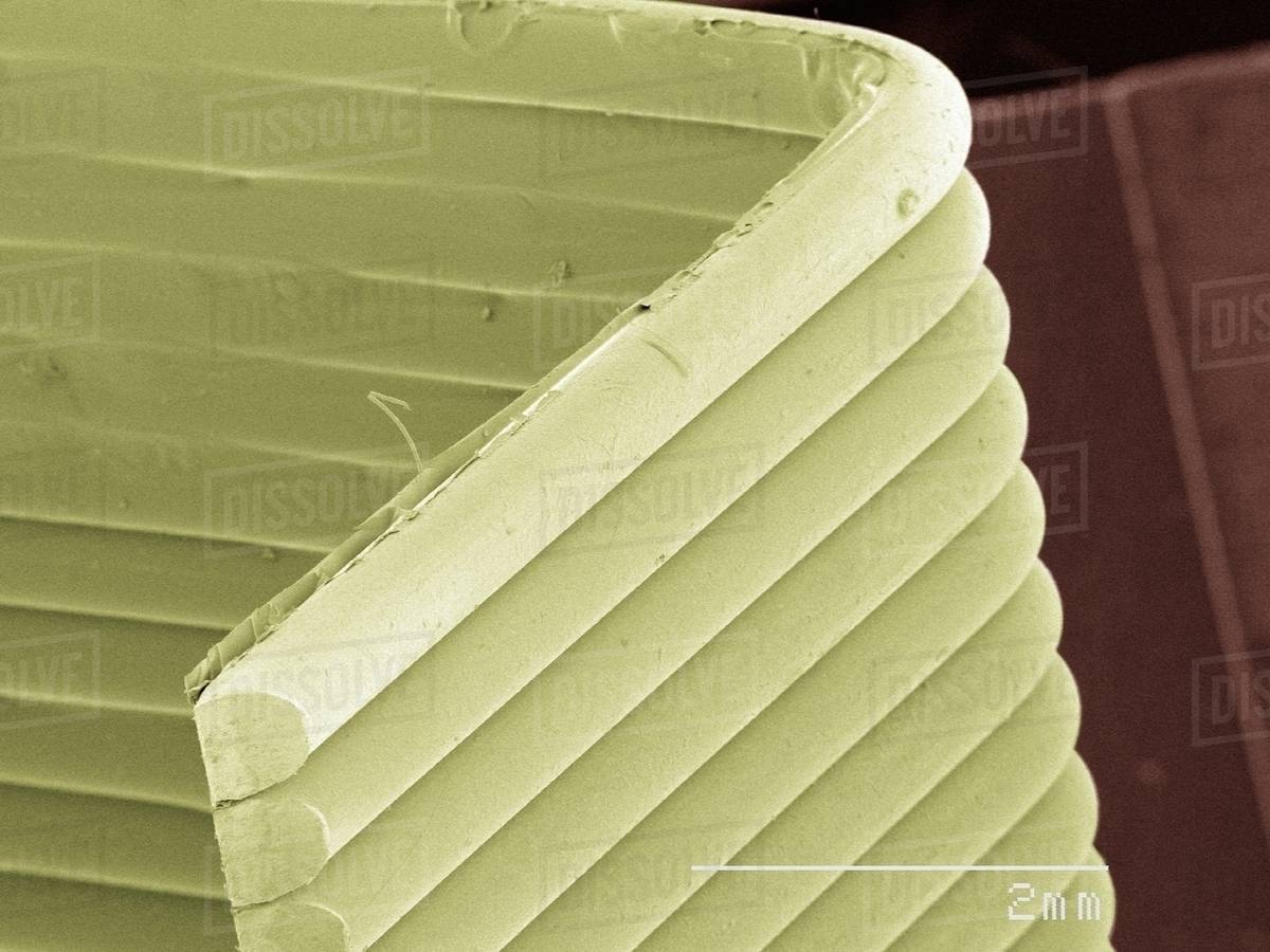 Coloured SEM of staples Stock Photo Dissolve