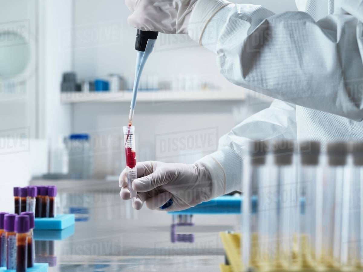 Scientist pipetting liquid in test tube Stock Photo Dissolve