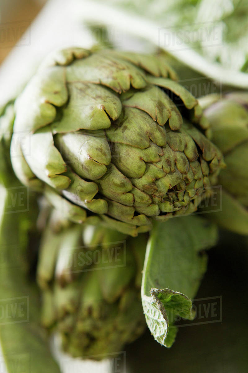 Fresh artichokes Stock Photo Dissolve