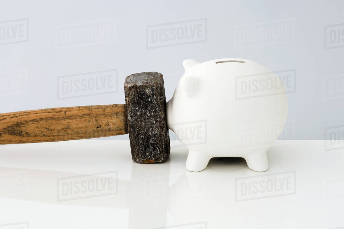 Piggybank touching nose against sledgehammer Stock Photo Dissolve