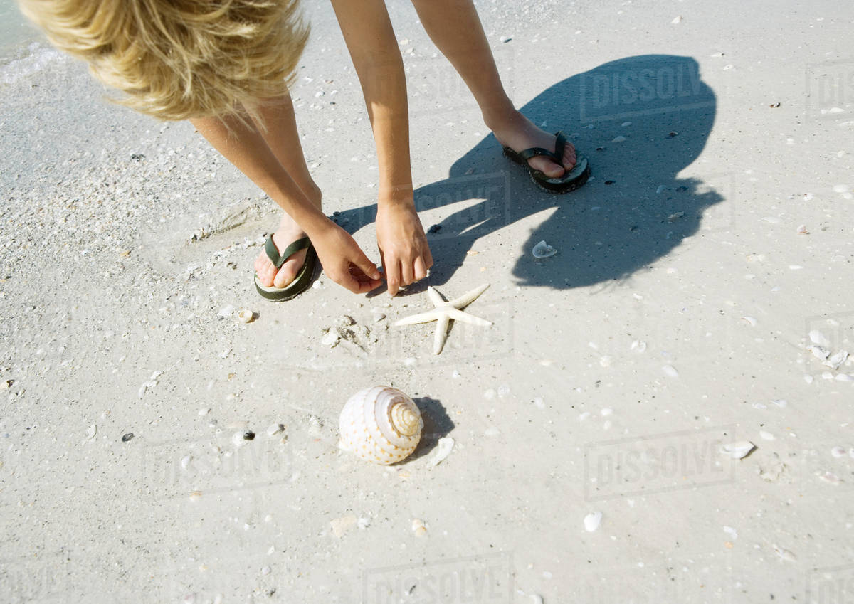 Child picking up seashells on beach Stock Photo Dissolve
