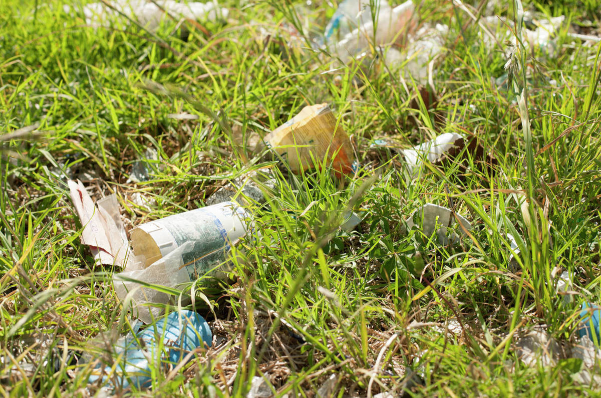 Trash littered on the ground Stock Photo Dissolve