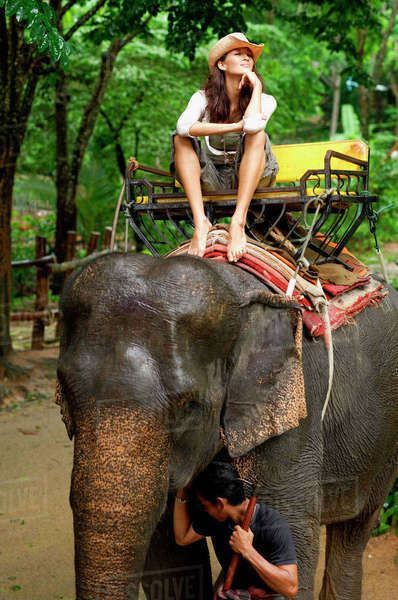 Young woman riding elephant, hand on chin, Phuket, Thailand - Royalty ...