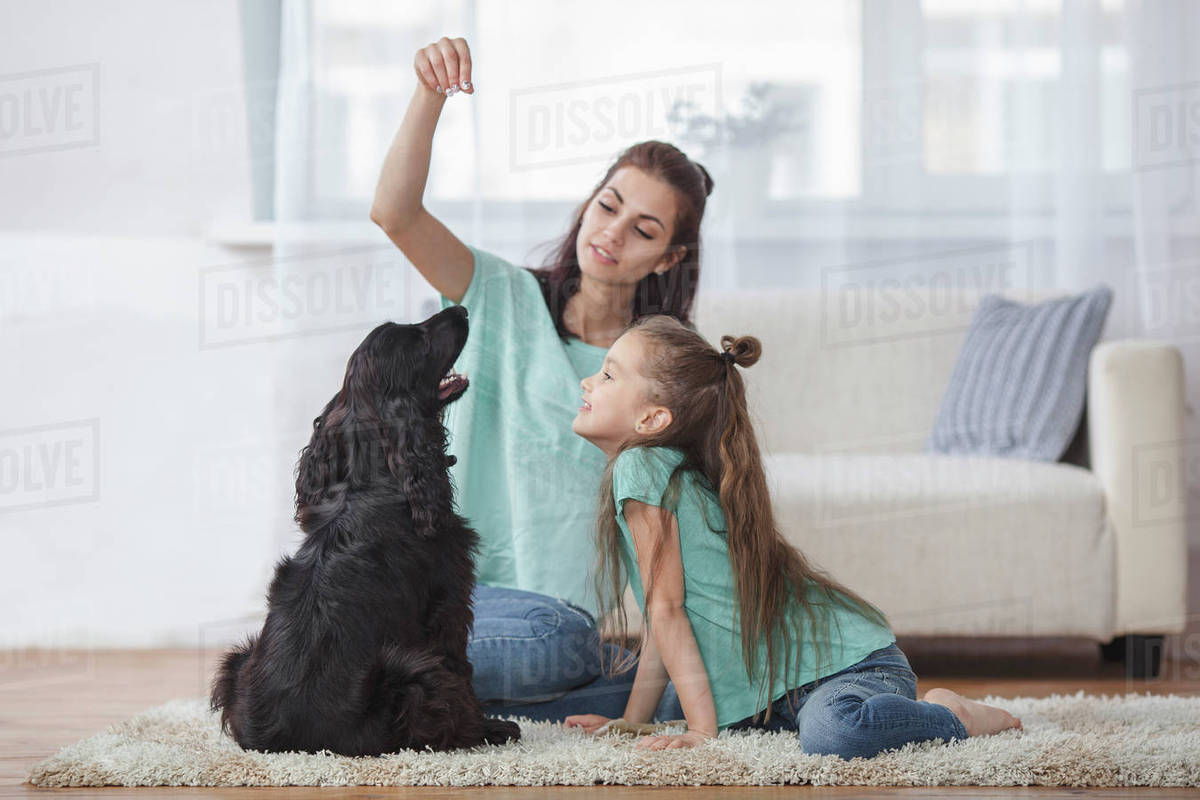 Mother and daughter playing with dog in living room at home Stock