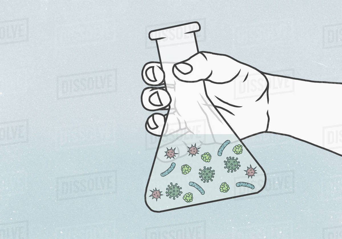 Detail of hand holding a conical flask containing bacteria in liquid