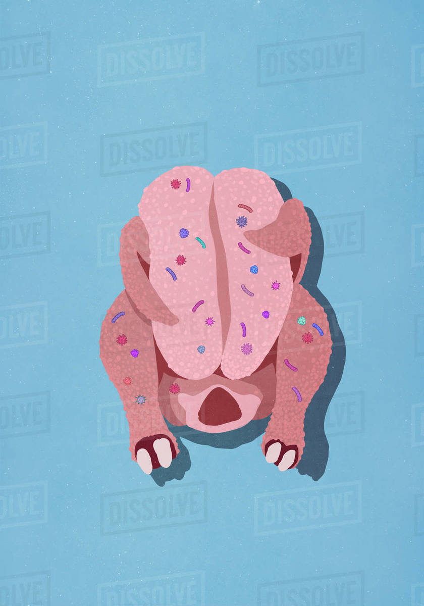 Bacteria on raw chicken Stock Photo Dissolve