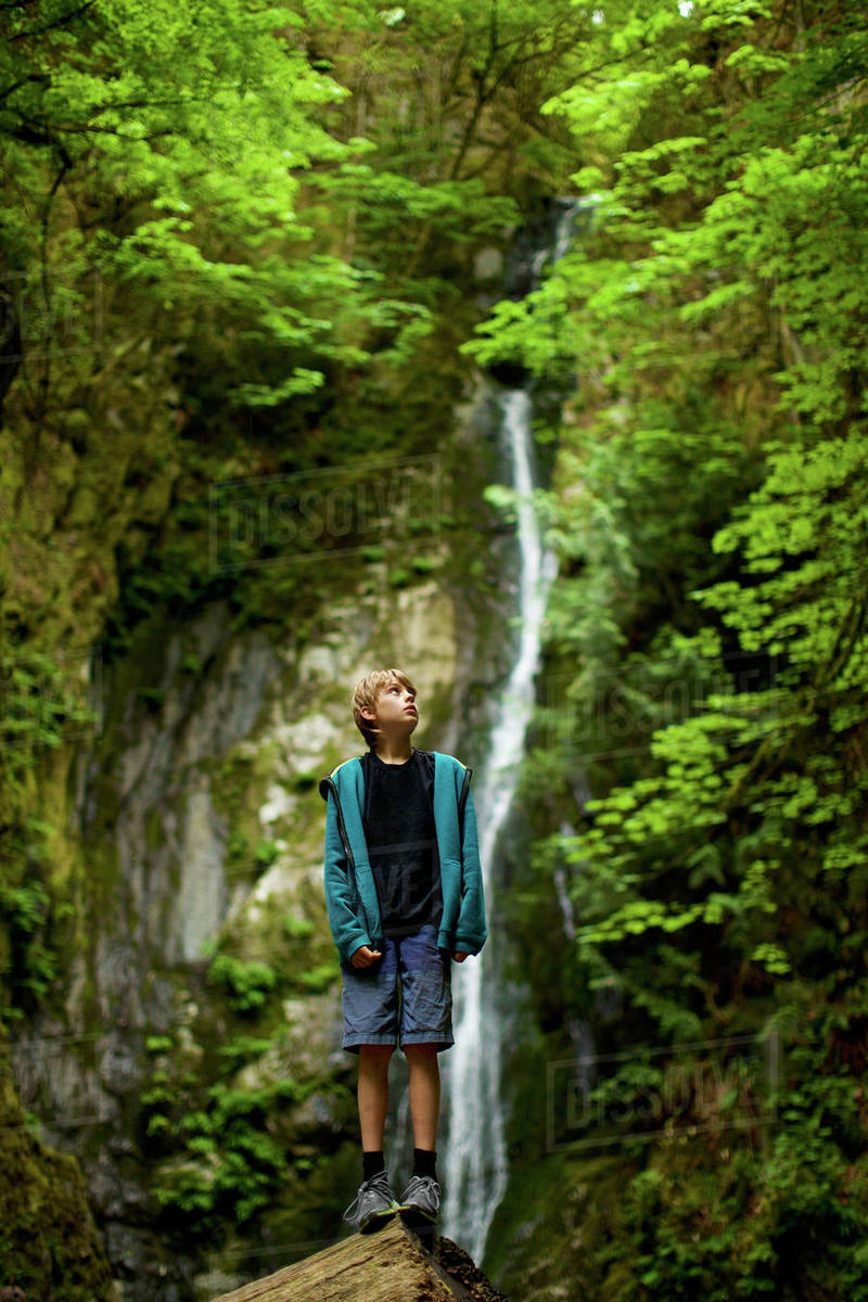 Curious boy in woods with waterfall, Goldstream, British Columbia, Canada Royalty-free stock photo