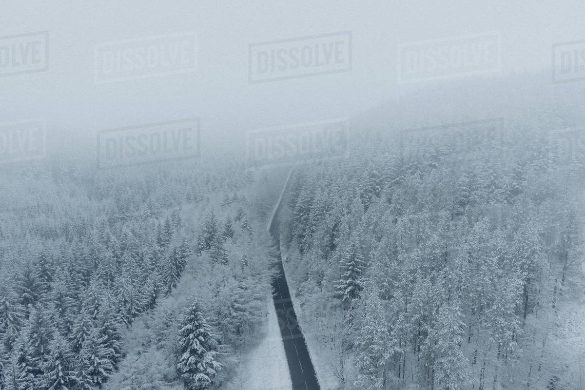 Road among snow covered trees, Snake Pass, Peak District National Park