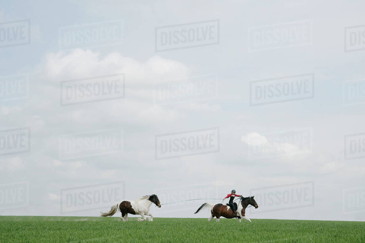 Girl horseback riding, pulling horse on lead in open field Stock